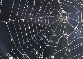 Пятый аэродром и военно-морская база с ядерным арсеналом: Украина продолжает беспрецедентную операцию “Паутина”