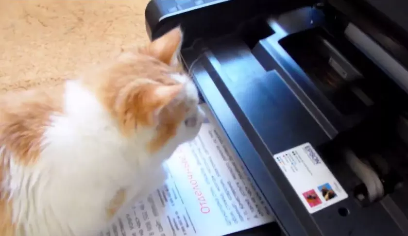 Лучший принтер для дома и школы