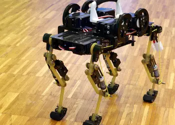 Которобот по прозвищу «Гепардёнок» (видео)