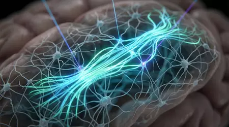 Світло в кінці нейрона: як вчені навчилися «хакати» зв’язки в мозку приматів