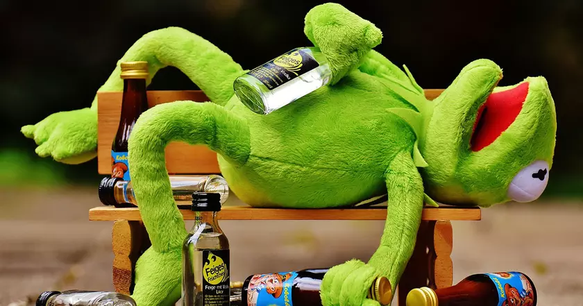 Кермит на лавочке: Как лягушонок оправляется от бурной ночи