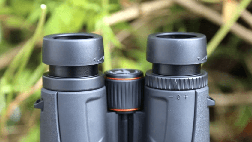 Celestron TrailSeeker 8x42 safari binoculars