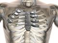 post_big/3d-printed-sternum-ribs.jpg