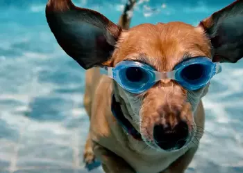 В Gemini Advanvced добавили генерацию видео Veo 2 - можно создавать клипы кинематографического качества до 8 секунд