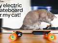 post_big/diy-skate-for-cat.jpg
