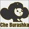 Che Burashka