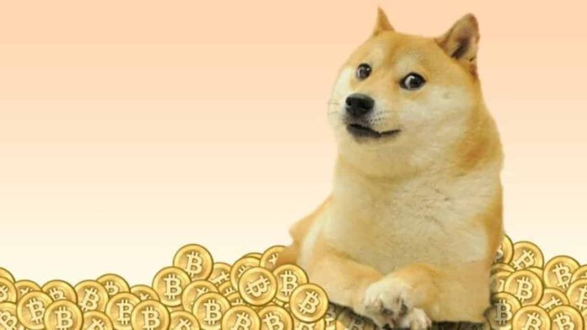 Вышел первый в истории NFT на блокчейне Dogecoin