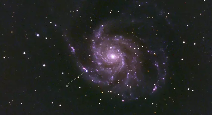 Учёные в прямом эфире показали вспышку одной из самых ярких сверхновых за последнее десятилетие