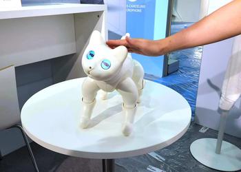 На IFA 2022 показали няшного робота-кота MarsCat, который чувствует прикосновения, реагирует на голоса и играет с игрушками