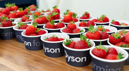 Колонка редактора: полуниця, пилососи і британський сюр — як Dyson перетворив ферму на лабораторію майбутнього