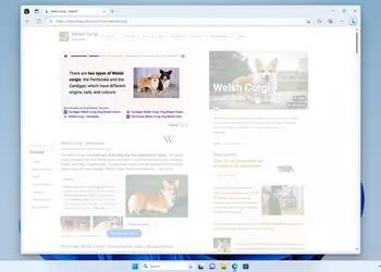Microsoft запускает Bing Stories, в которых будет кратко отображаться информация о поисковом запросе