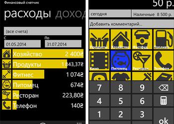 Приложения для Windows Phone: Финансовый счетчик