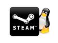 Valve порешала: новые версии Ubuntu получат поддержку Steam