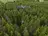Дрон AirForestry вперше автономно зрубав дерево і виніс його з лісу