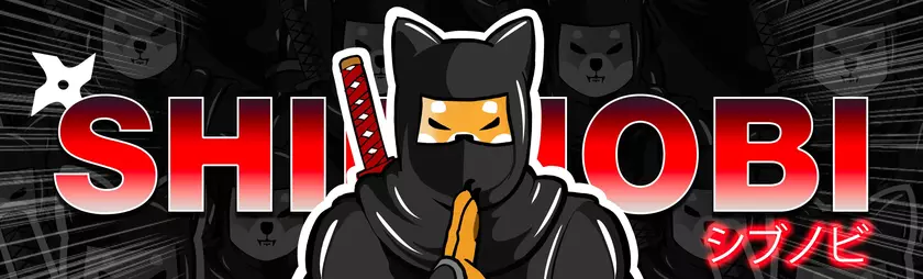 Инвестор заработал $3 200 000 на мемной криптовалюте Shibnoni за три месяца – после продажи цена актива резко обвалилась