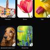 Recenzja Samsung Galaxy Note10 Lite: dla ostrożnych fanów linii-201