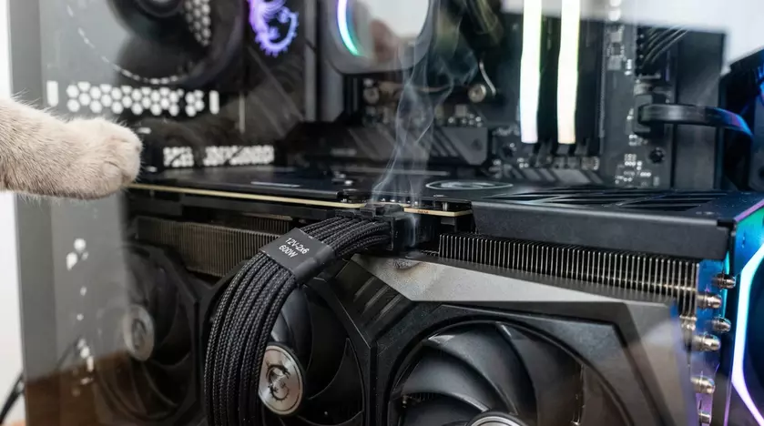 Кот у системного блока с видеокартой
