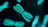 Trillion Gene Atlas: как Basecamp Research собирается «переварить» генетику планеты за два года