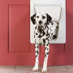 PetSafe Electronic SmartDoor Dog and Cat Door