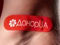 post_big/DonorUA.jpg