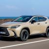 Lexus NX Overtrail інтер'єр