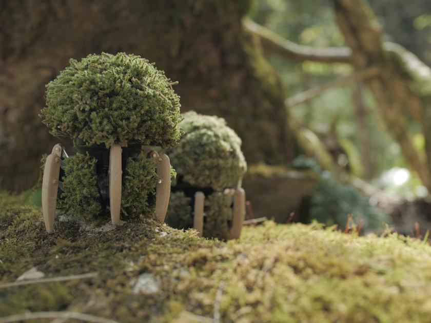 Potty with legs: Panasonic introduced the Umoz eco-robot made of moss, which moves around the house in search of comfortable conditions