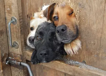 ВКонтакте Украина: вход закрыт. Да здравствует вход!