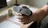 Best Webcams with Microphone and Speaker