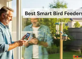 Best Smart Bird Feeders with Cameras
