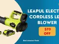post_big/LEAPUL_Electric_Cordless_Leaf_Blower_1.jpg