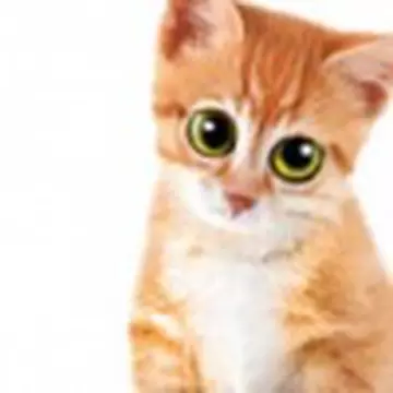 Сергей Круминьш