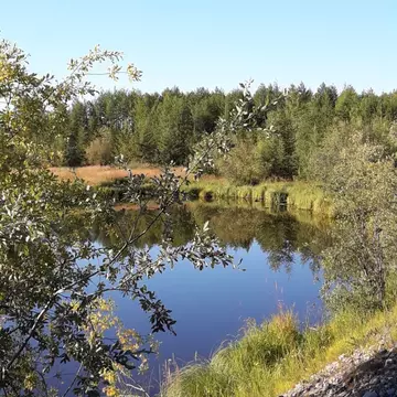 Любовь Гогчаренко