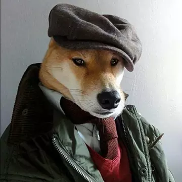 kostiathebestoftherest