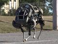 Alphabet планирует продать Boston Dynamics