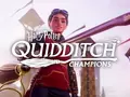 post_big/Harry-Potter-Quidditch-Champions.jpg