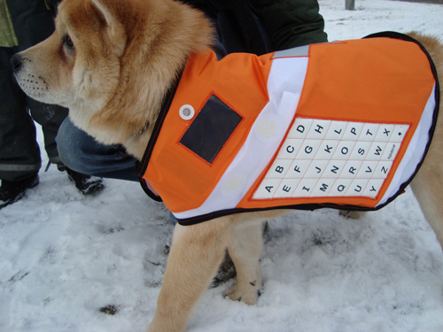 Концепт Messenger Dog: собака обеспечивает связь во время стихийных бедствий (видео)-2