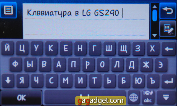 Свежий или зрелый? Подробный обзор LG GS290 Cookie Fresh-19