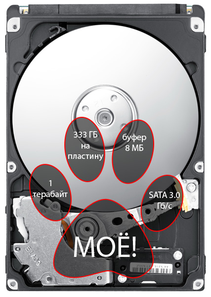 Samsung Spinpoint MT2: терабайтный 2.5-дюймовый жесткий диск для внешних накопителей