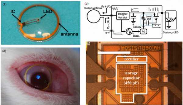 Прототип контактной линзы-дисплея или как стать ближе к Терминатору-2