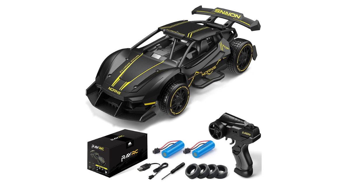 1:24 Dodoeleph rc cars under 100