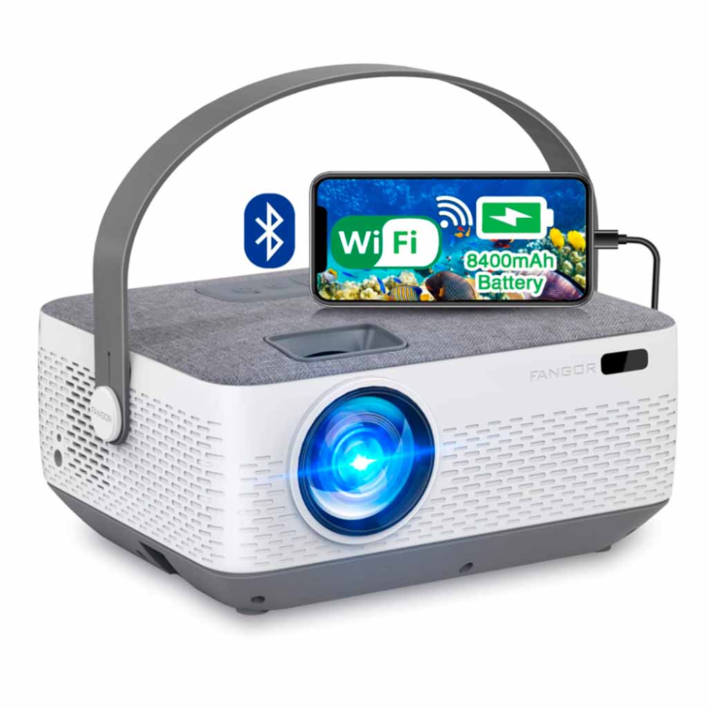 FANGOR F601 Portable Project