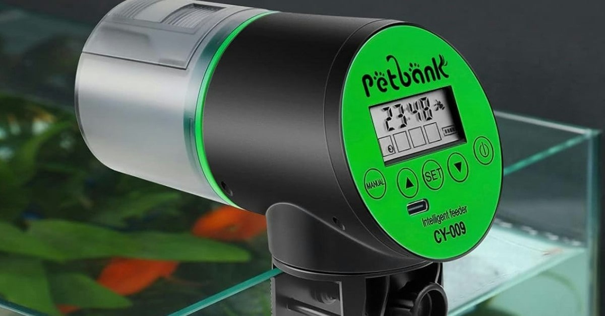 4 Best Automatic Fish Feeders in 2025 - Comparison and Review