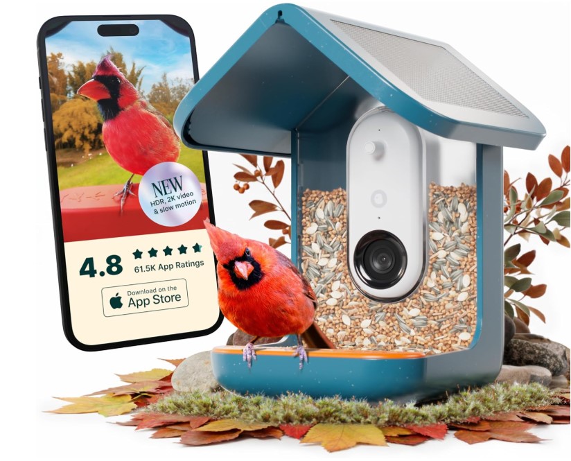 Bird Buddy PRO smart bird feeder with camera
