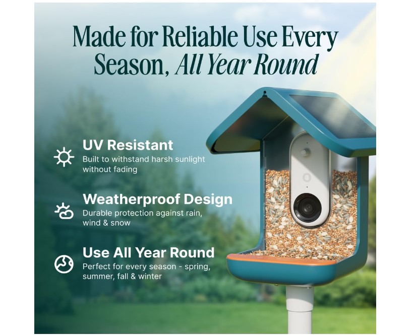 Bird Buddy PRO bird feeder camera AI identification