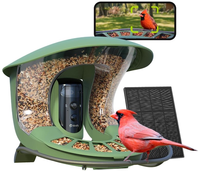 Birdfy 2 bird watching camera feeder