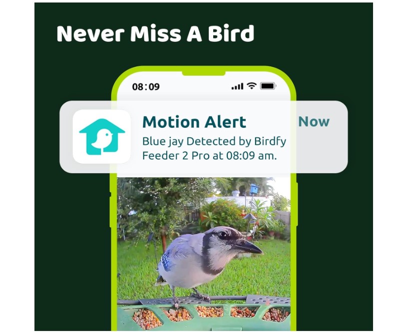 Birdfy 2 automatic bird feeder with video