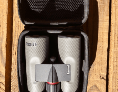Bushnell Nitro 10x42 Birdwatch Binocular