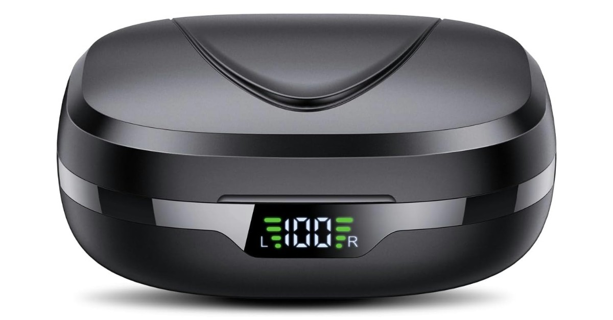 CASCHO BX17 best ear hook earbuds