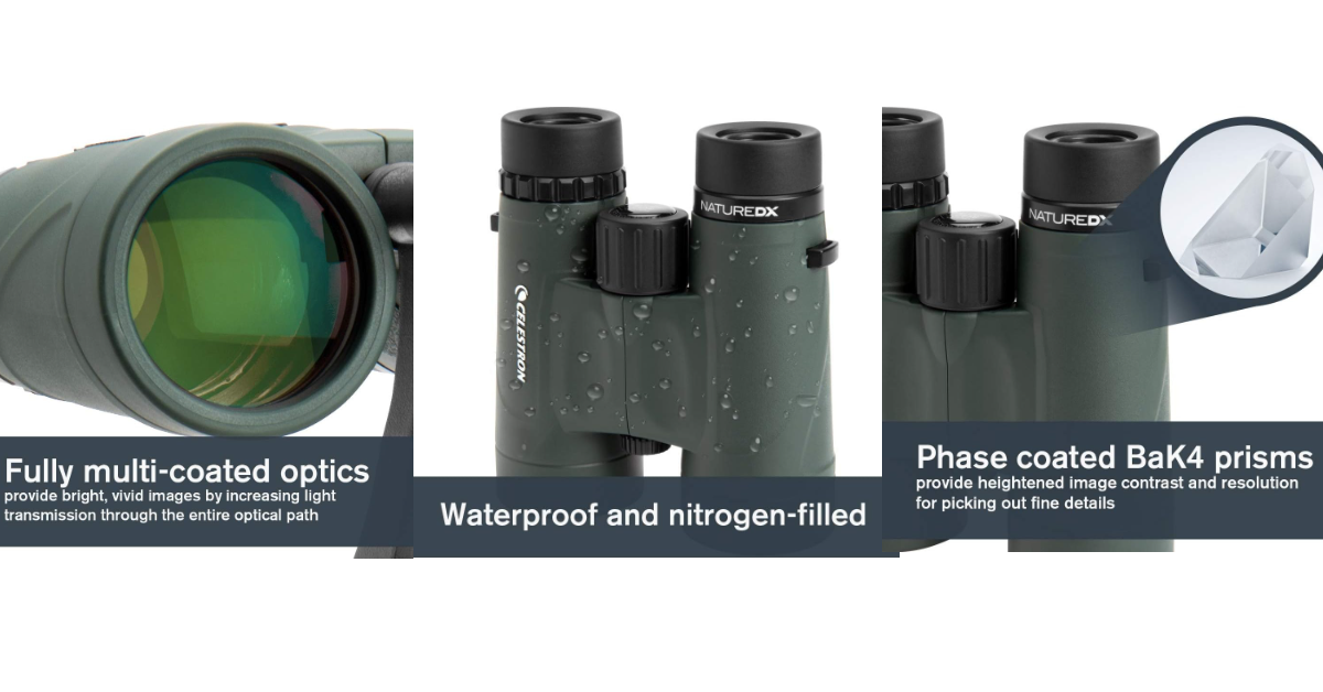 5 Best Binoculars for Alaska Cruise in 2024 Travel Binoculars for