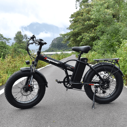 DEEPOWER G20 folding bike for big guys